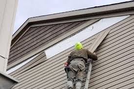 Trusted Progreso, TX Siding Experts